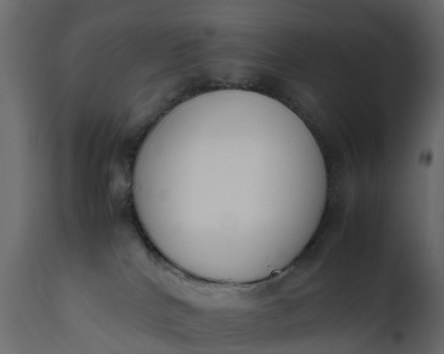 X0000111650040200907311327