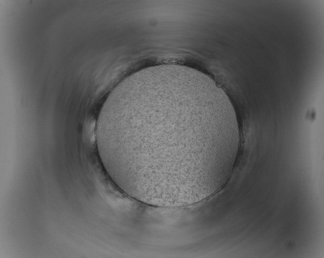 X0000111650041200907311327