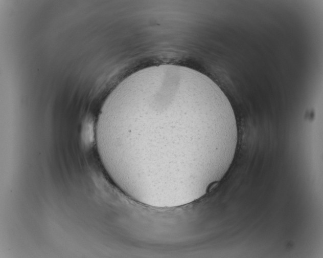 X0000111650042200907311327