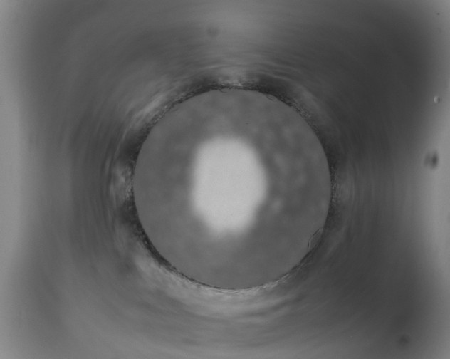 X0000111650043200907311327