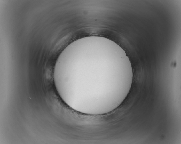 X0000111650044200907311327