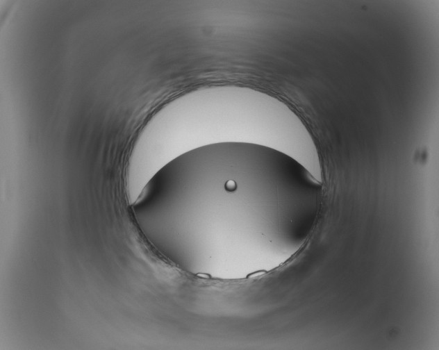 X0000111650045200907311327