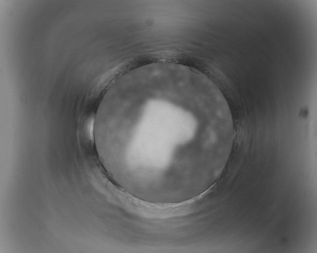 X0000111650047200907311327