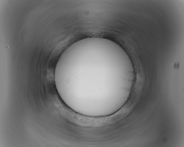 X0000111650048200907311327
