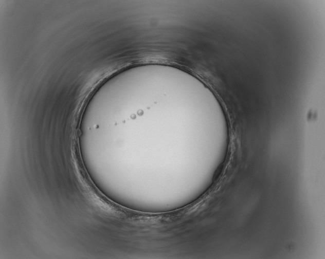 X0000111650049200907311326