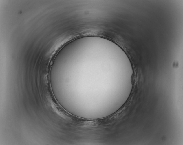 X0000111650050200907311326
