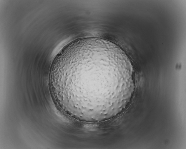 X0000111650051200907311326