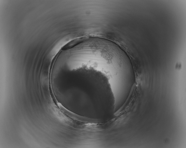 X0000111650052200907311326