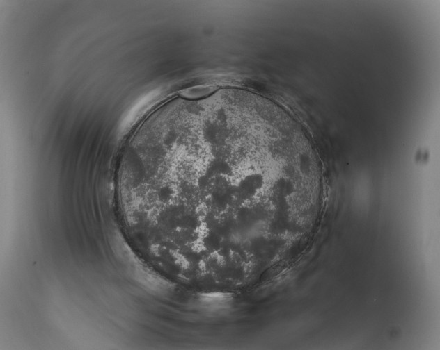 X0000111650053200907311326