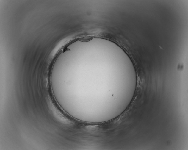 X0000111650054200907311326