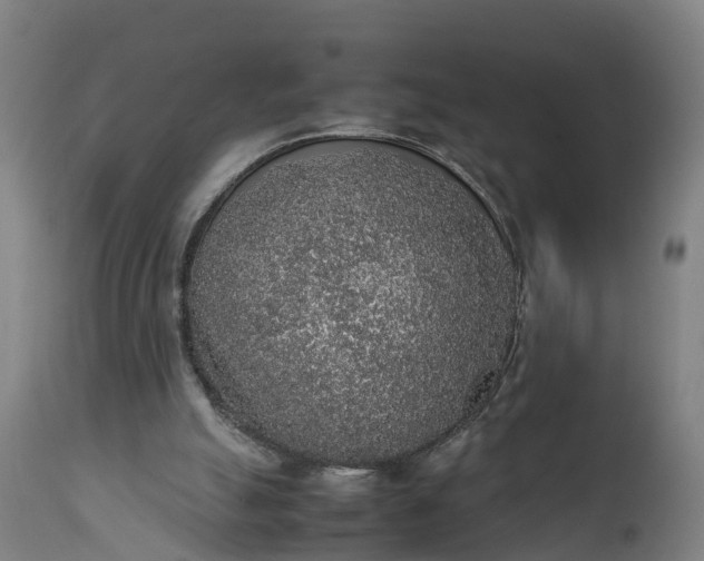 X0000111650055200907311326