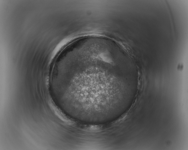 X0000111650056200907311326