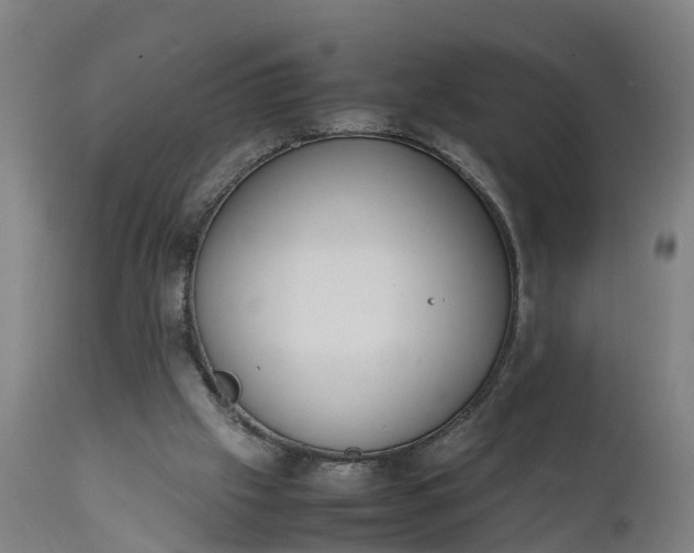 X0000111650057200907311326