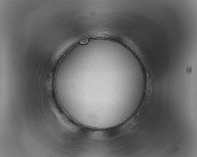 X0000111650058200907311326