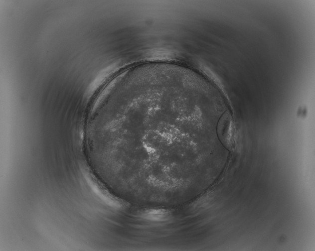 X0000111650059200907311326