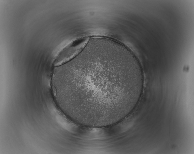 X0000111650060200907311326