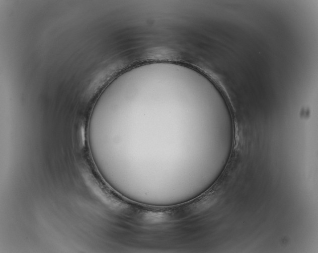 X0000111650061200907311326