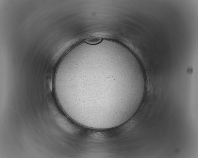 X0000111650062200907311326