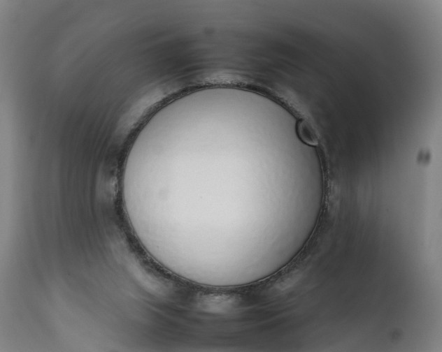 X0000111650063200907311326