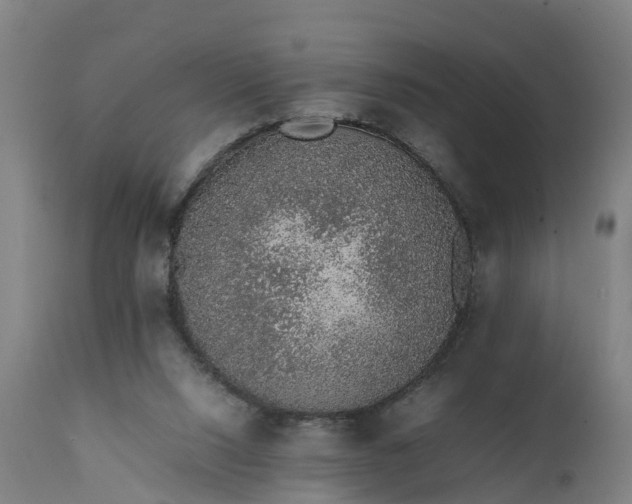 X0000111650064200907311326