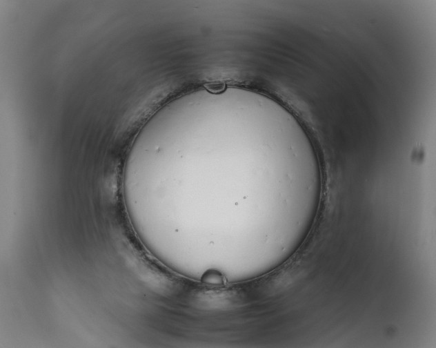 X0000111650065200907311326
