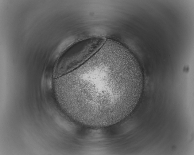 X0000111650068200907311327