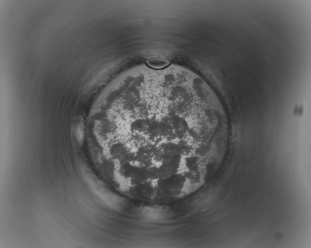 X0000111650069200907311327