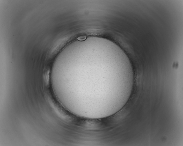 X0000111650070200907311327