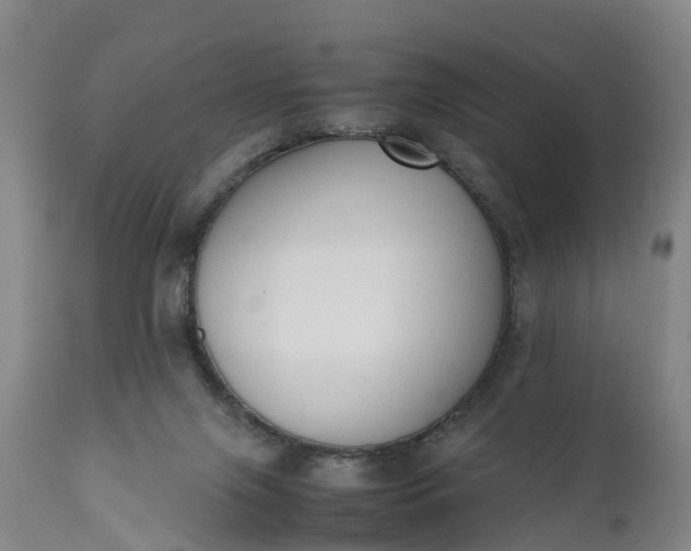 X0000111650071200907311327