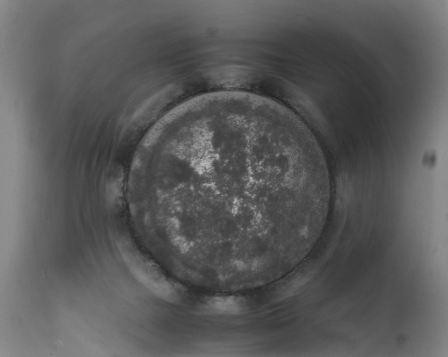 X0000111650073200907311327
