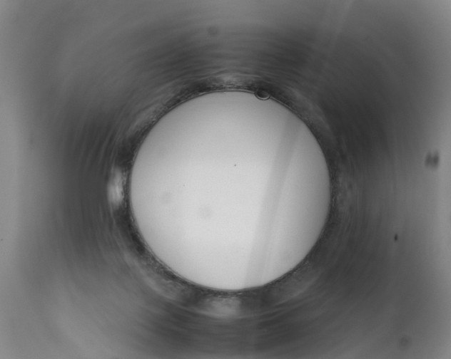 X0000111650075200907311327