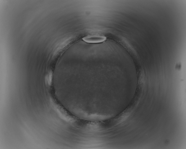 X0000111650076200907311327