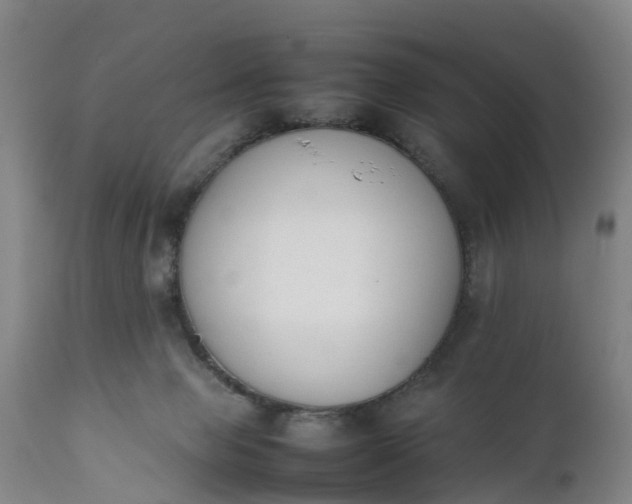 X0000111650077200907311327