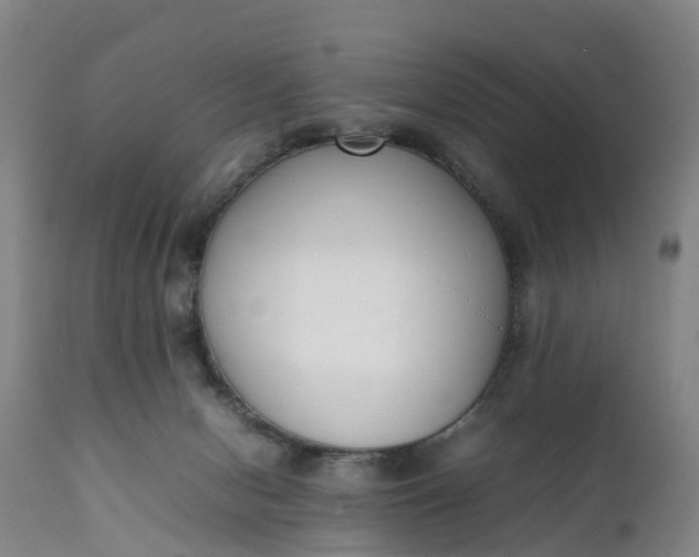 X0000111650078200907311327
