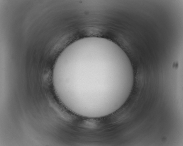 X0000111650079200907311327
