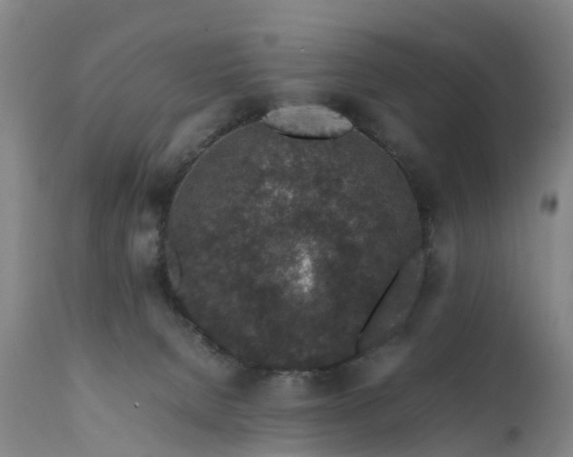 X0000111650080200907311327