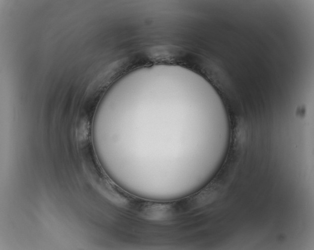 X0000111650081200907311327