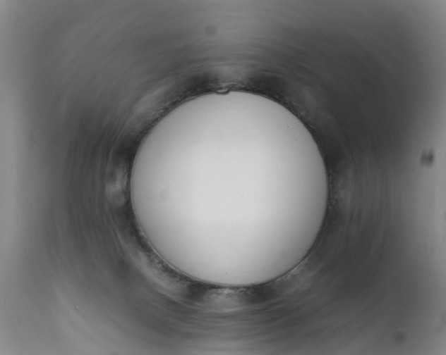 X0000111650082200907311327