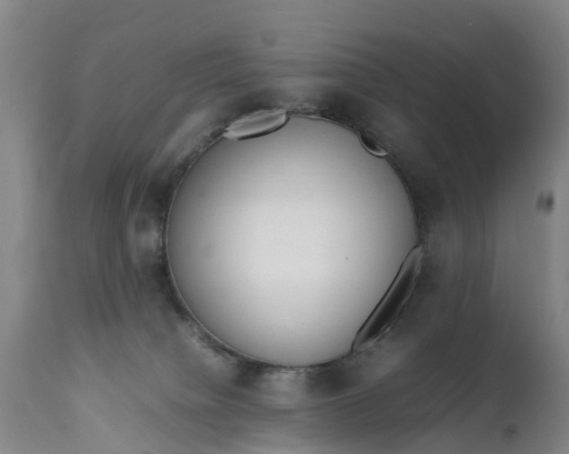 X0000111650084200907311327
