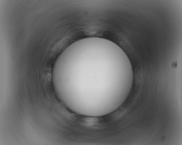 X0000111650085200907311327