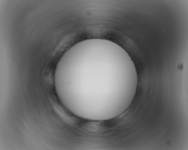 X0000111650086200907311327