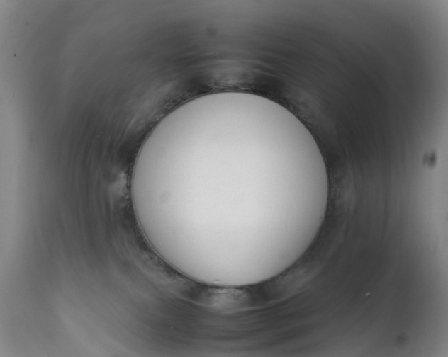 X0000111650087200907311327