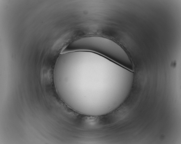 X0000111650088200907311327