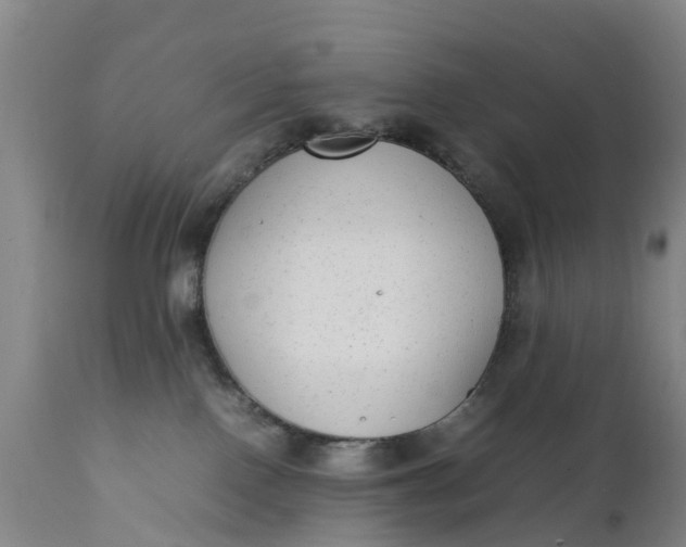 X0000111650090200907311327