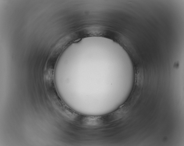 X0000111650093200907311327