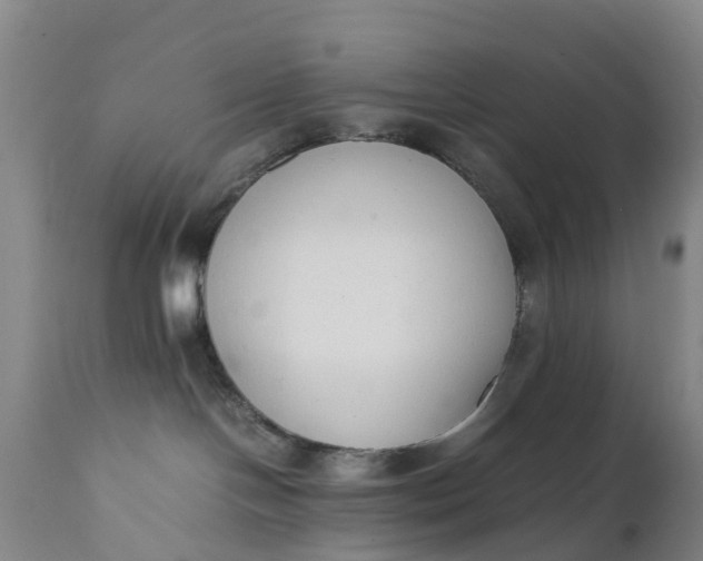 X0000111650094200907311327
