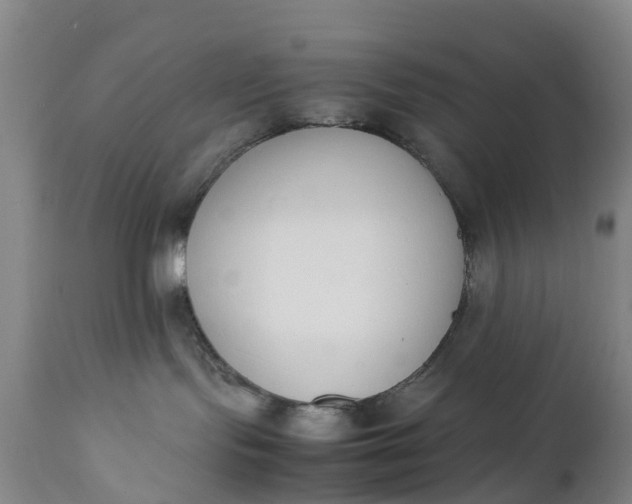 X0000111650095200907311327