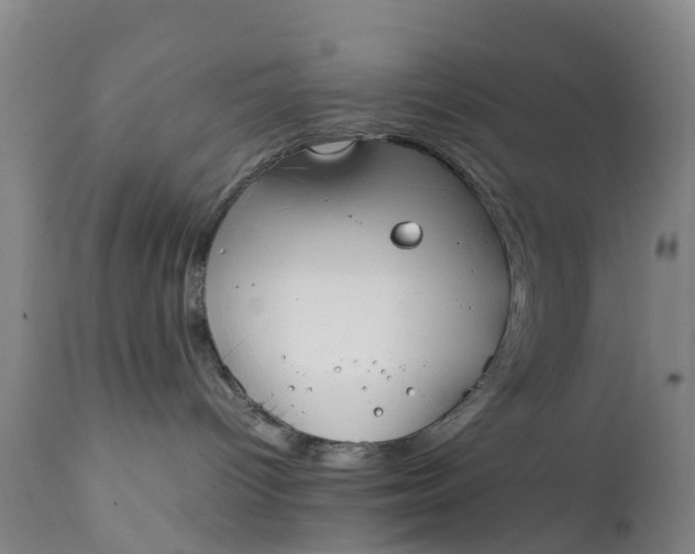 X0000111650096200907311327