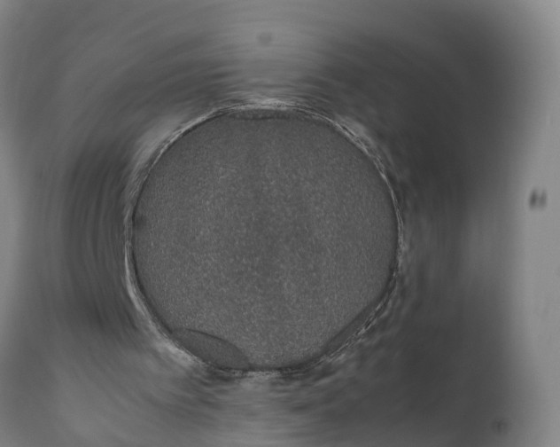 X0000111650097200907311326