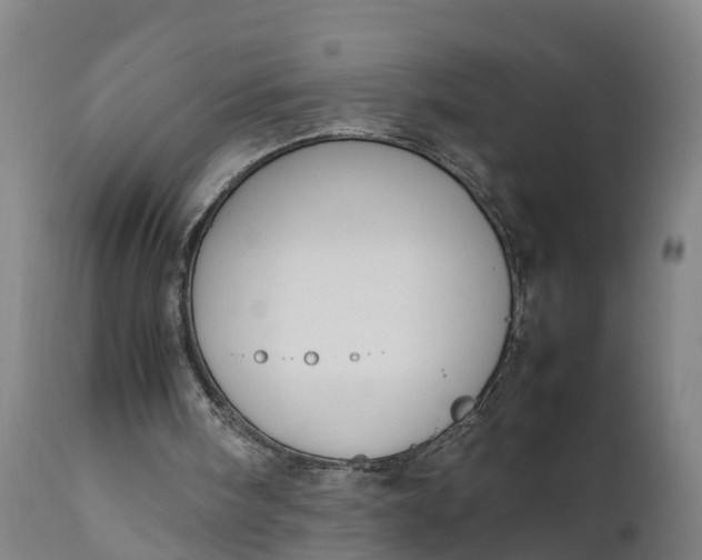 X0000111650098200907311326